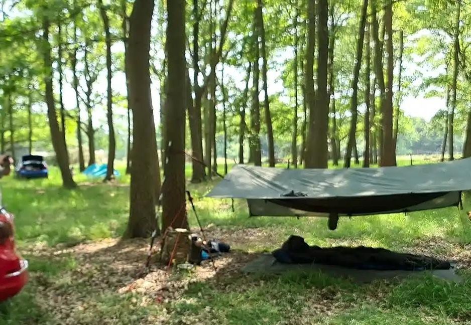 Hammock pitched along the treeline at dusk