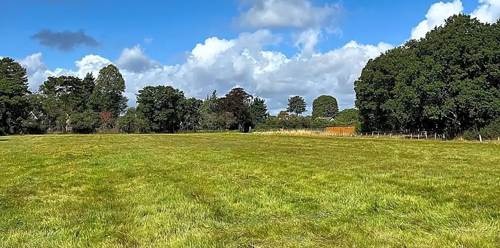 Hedgerow and farmland bordering the campsite